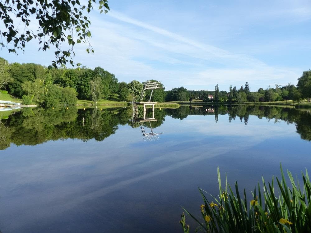 A scenery from Flower Camping L'Air du Lac