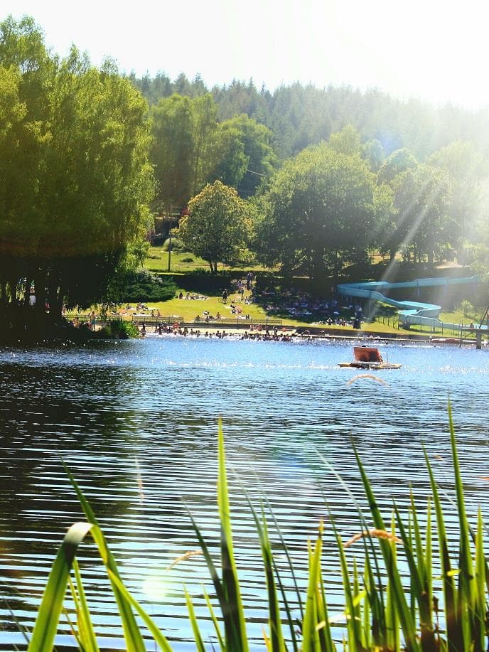 A scenery from Flower Camping L'Air du Lac