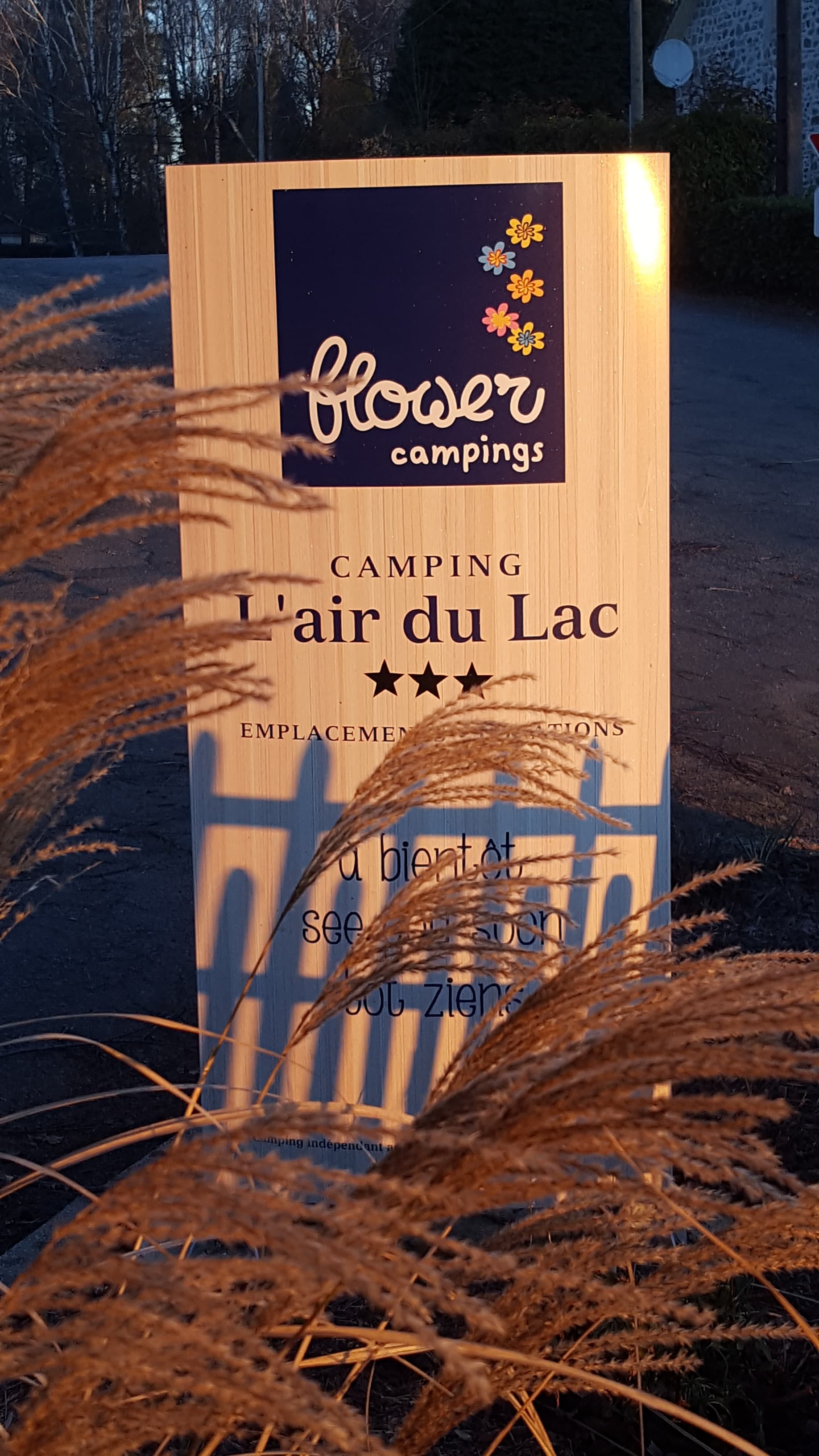 A scenery from Flower Camping L'Air du Lac