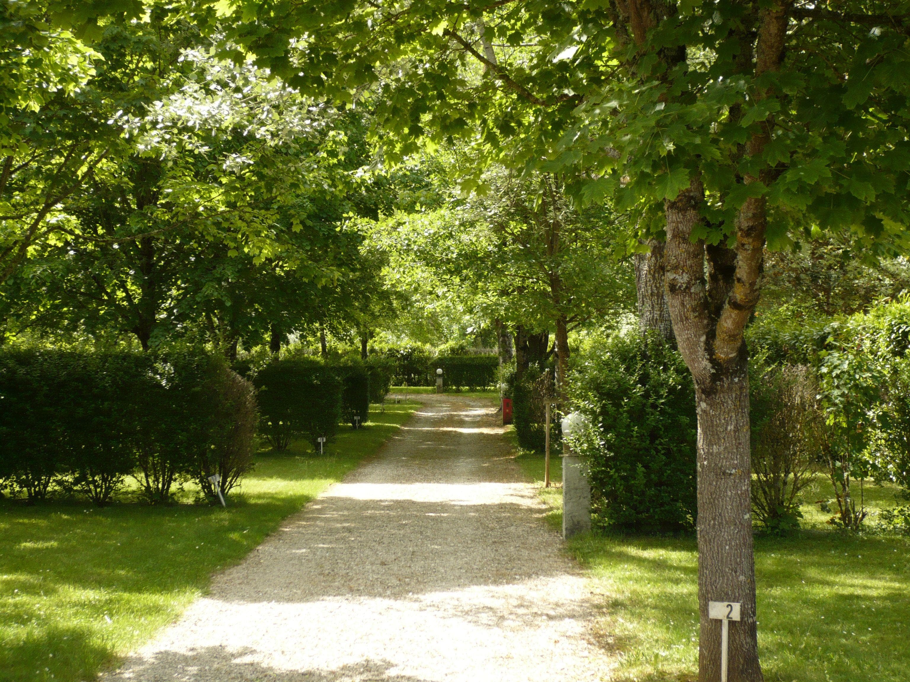 A scenery from Camping LE CLOS DE LA LERE