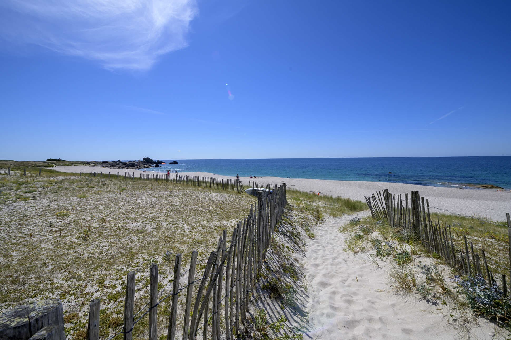 A scenery from Flower Camping La Grande Plage