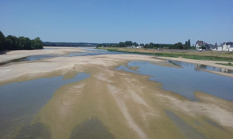 A scenery from Camping Au Bord de Loire