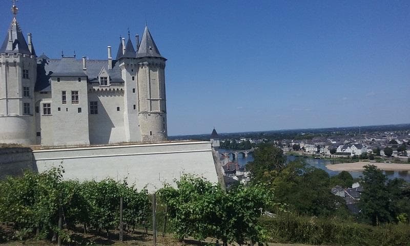 A scenery from Camping Au Bord de Loire