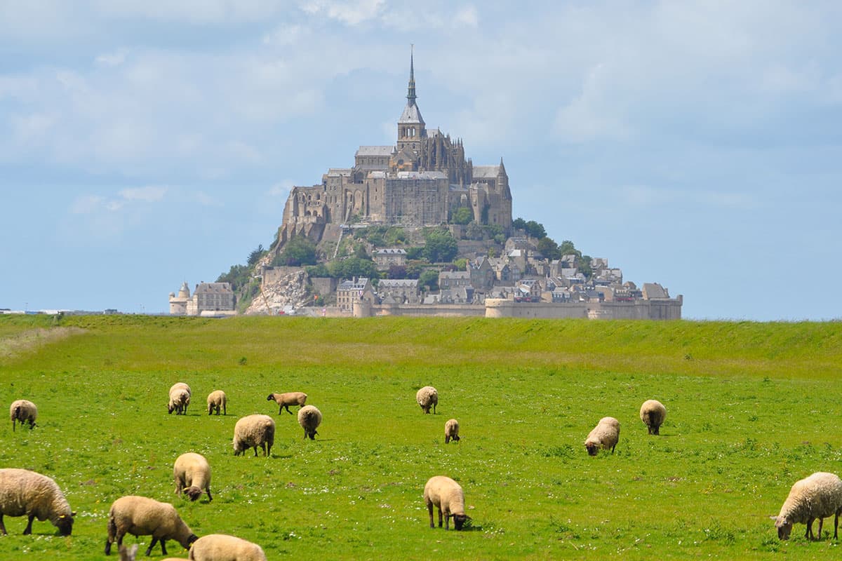 A scenery from Camping Les Chemins Du Mont St Michel