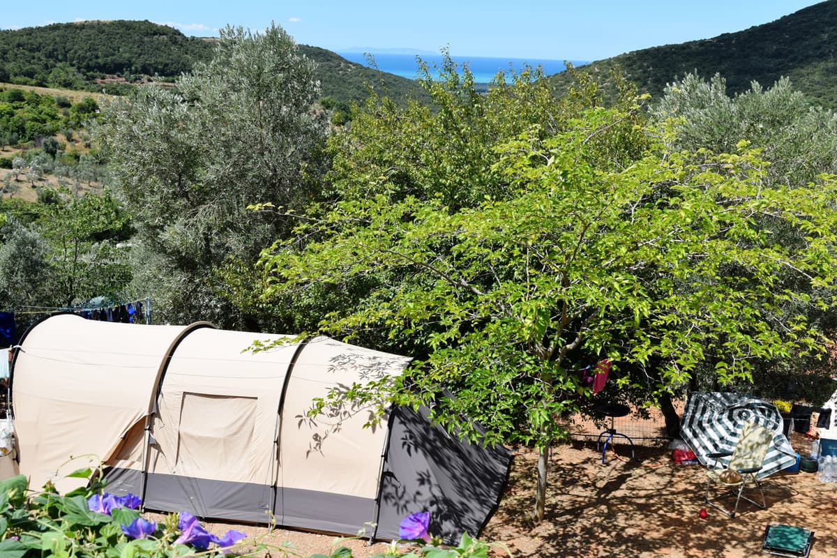 A scenery from Camping Blucamp