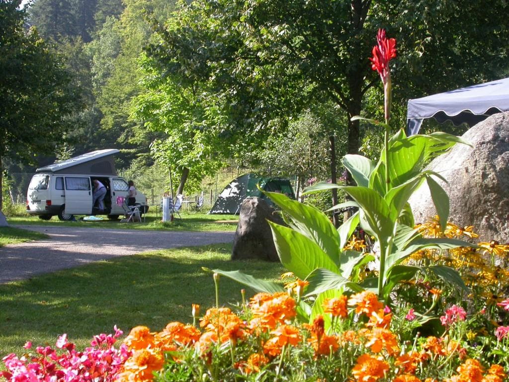 A scenery from Camping Le Schlossberg