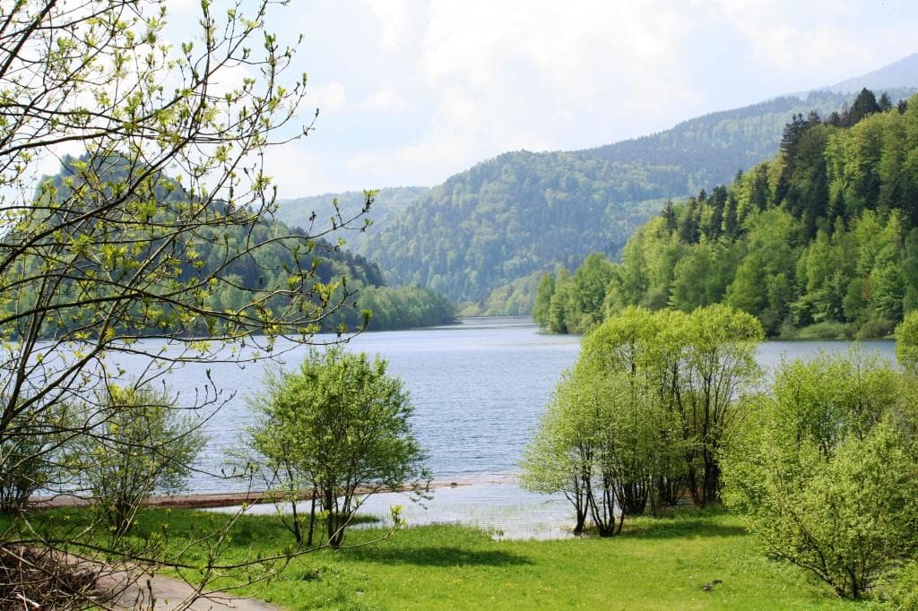 A scenery from Camping Le Schlossberg