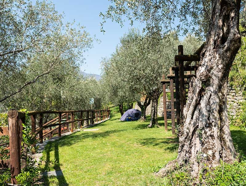 A scenery from Camping Brione