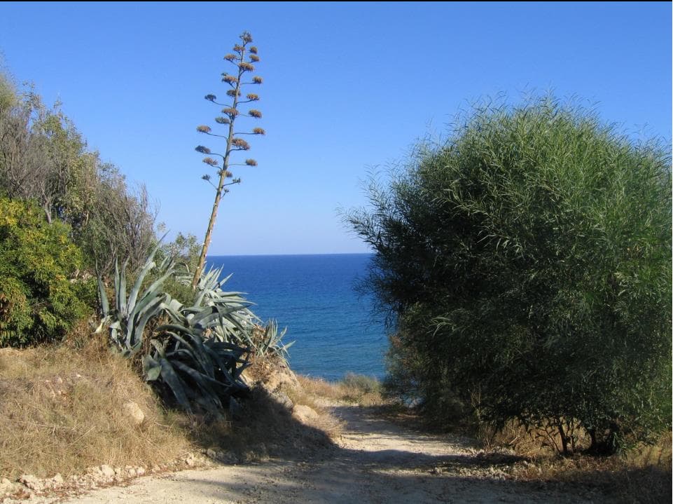 A scenery from Camping Club Naturista Pizzo Greco