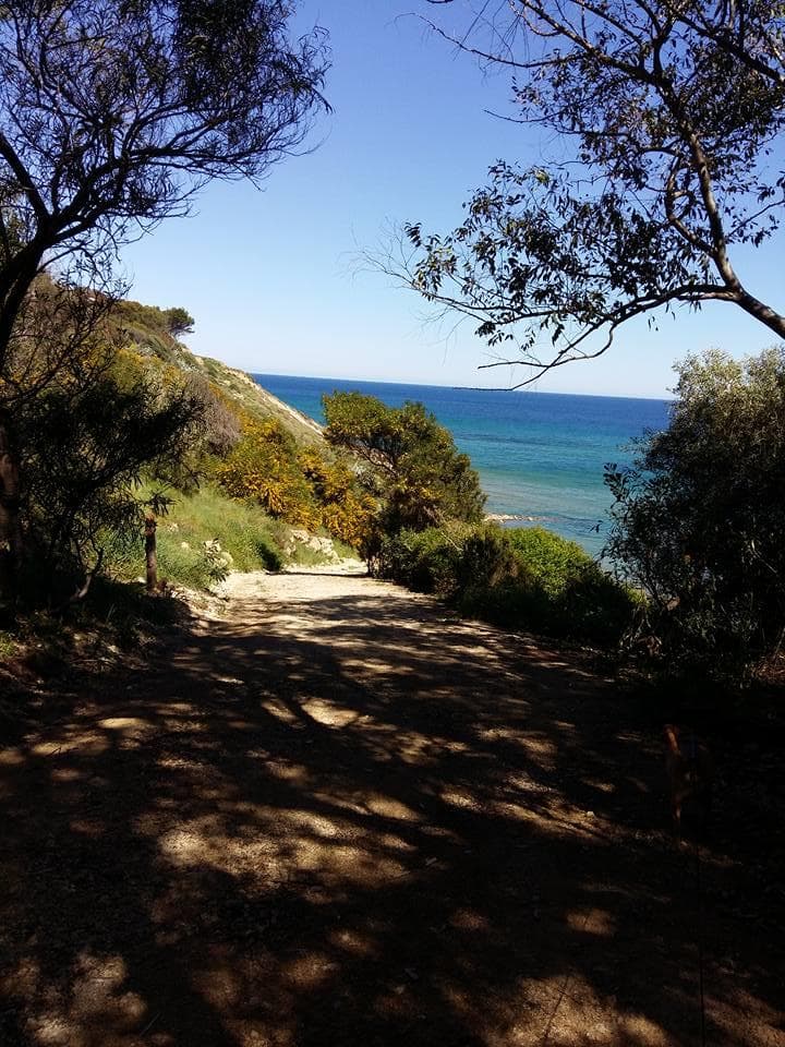 A scenery from Camping Club Naturista Pizzo Greco