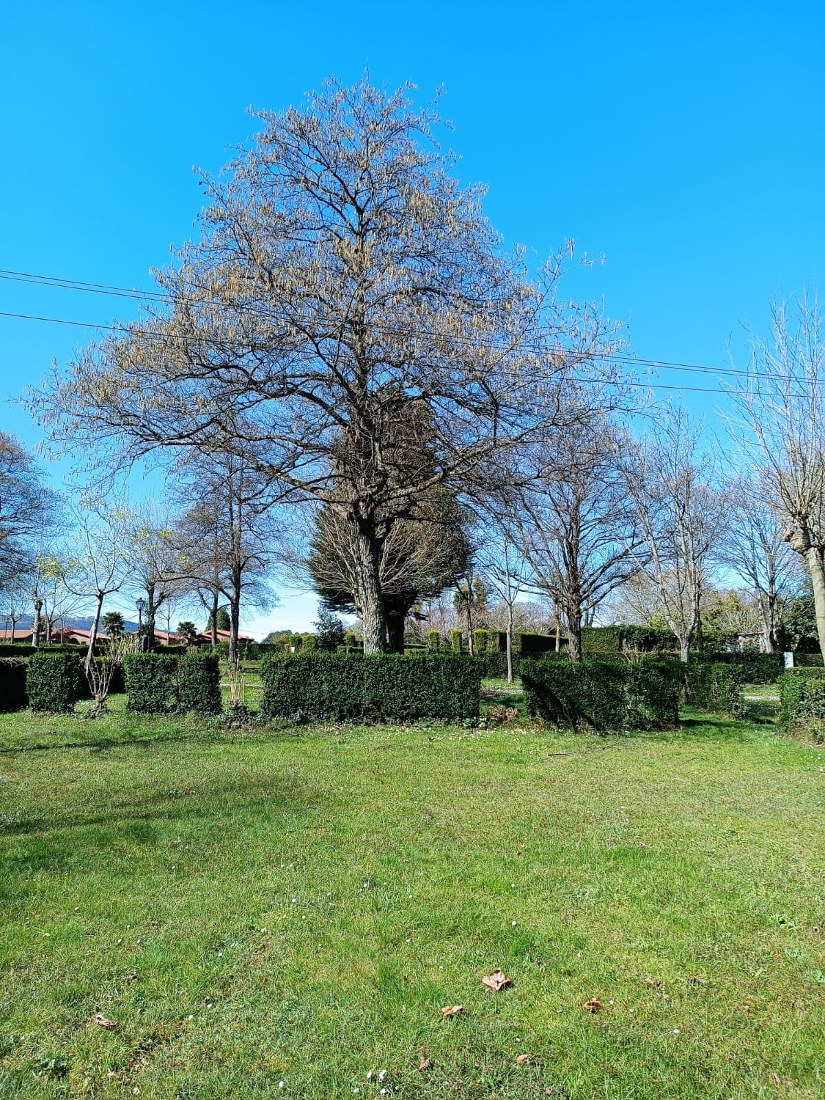 A scenery from Wecamp Cudillero