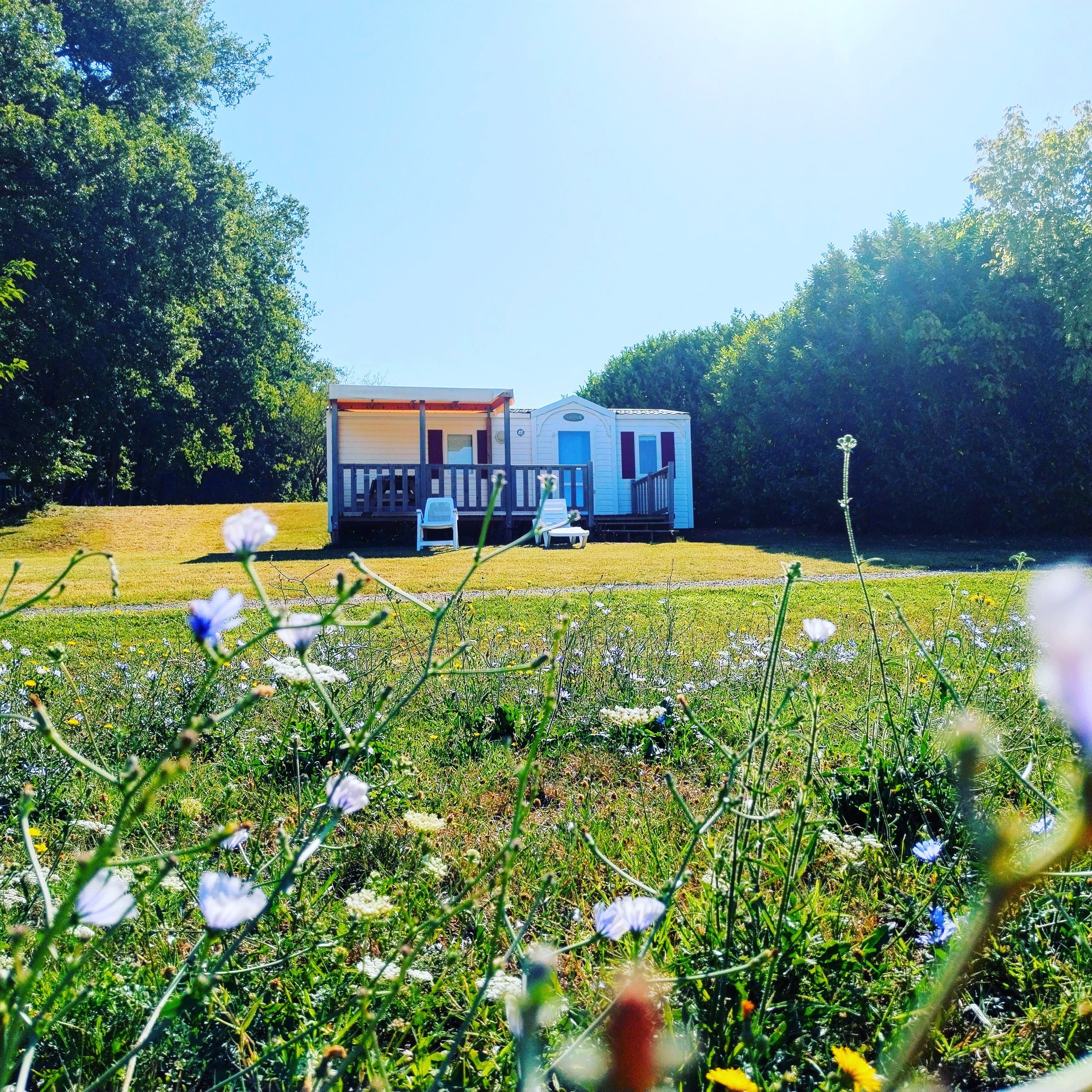 A scenery from Camping Nature Le Valenty