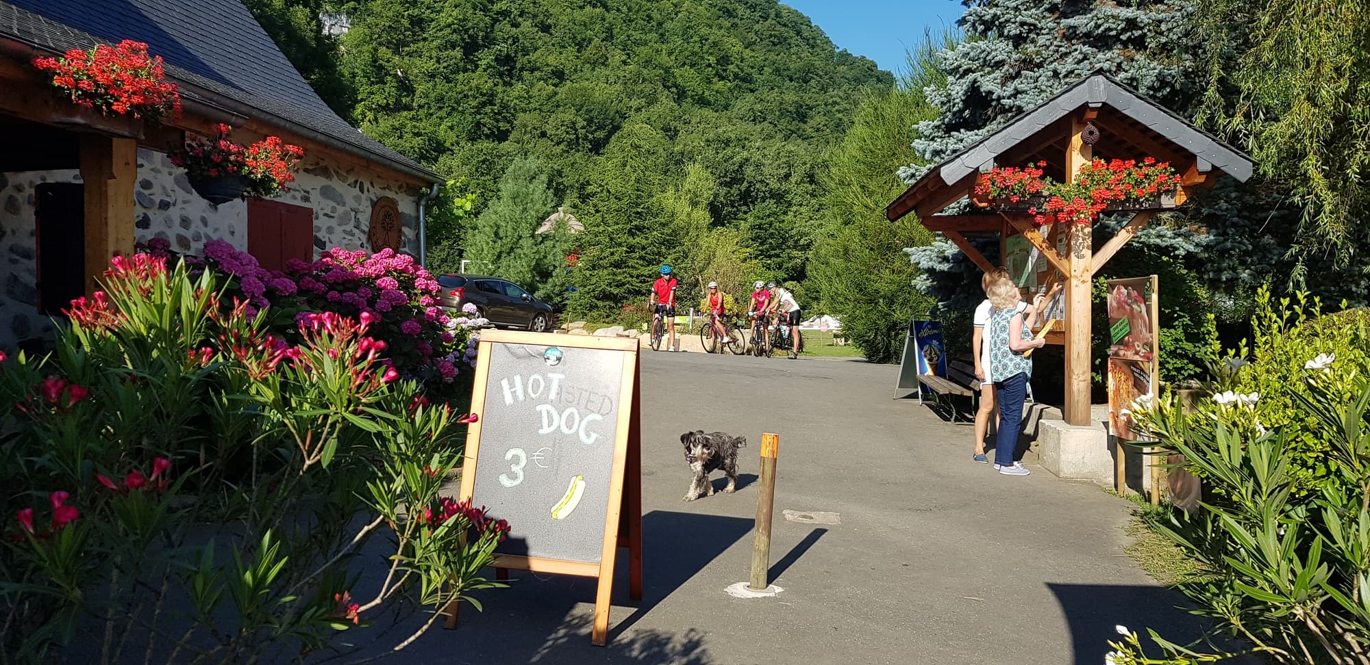 A scenery from Camping La Forêt