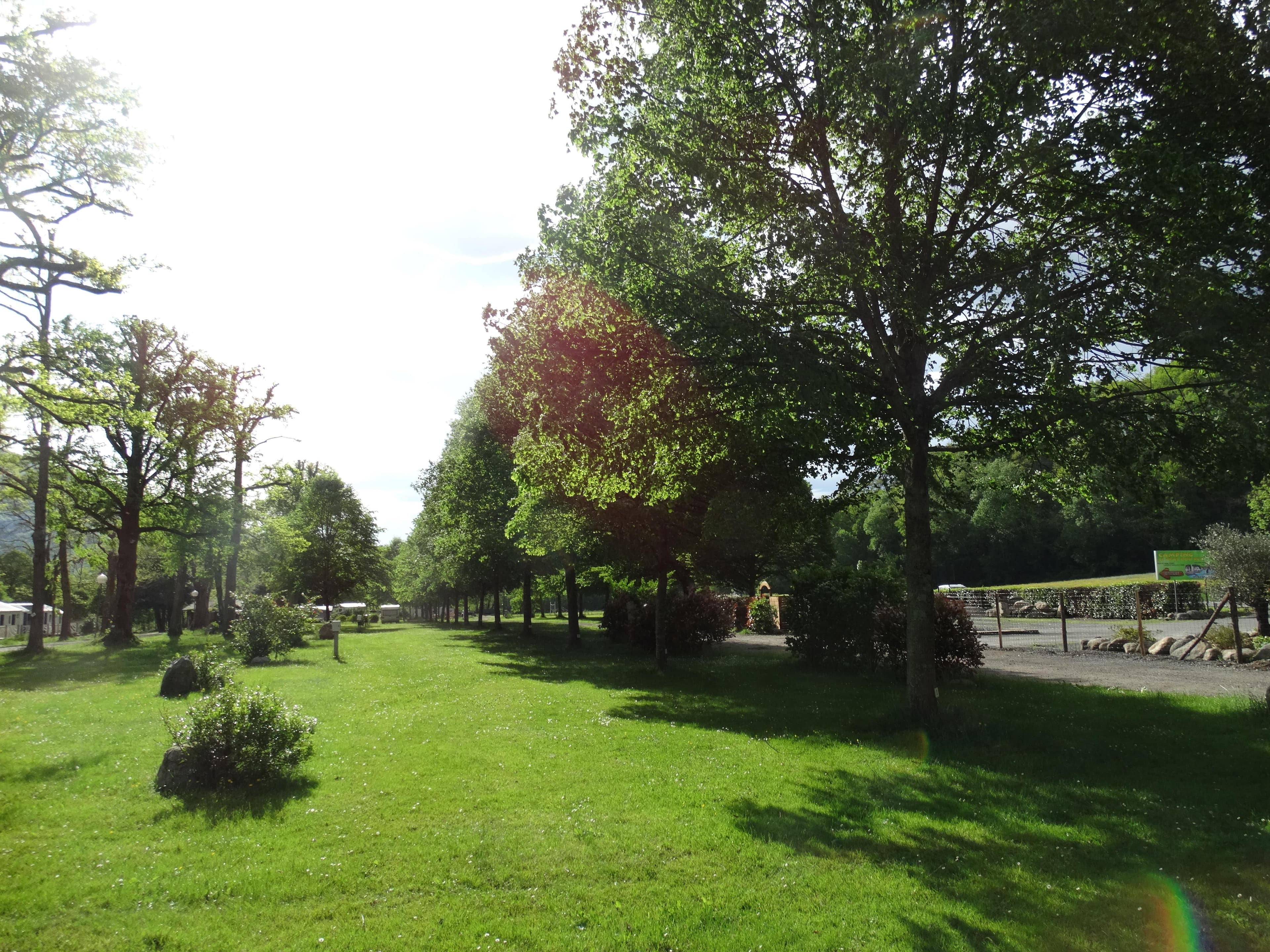A scenery from Camping A l'Ombre des Tilleuls