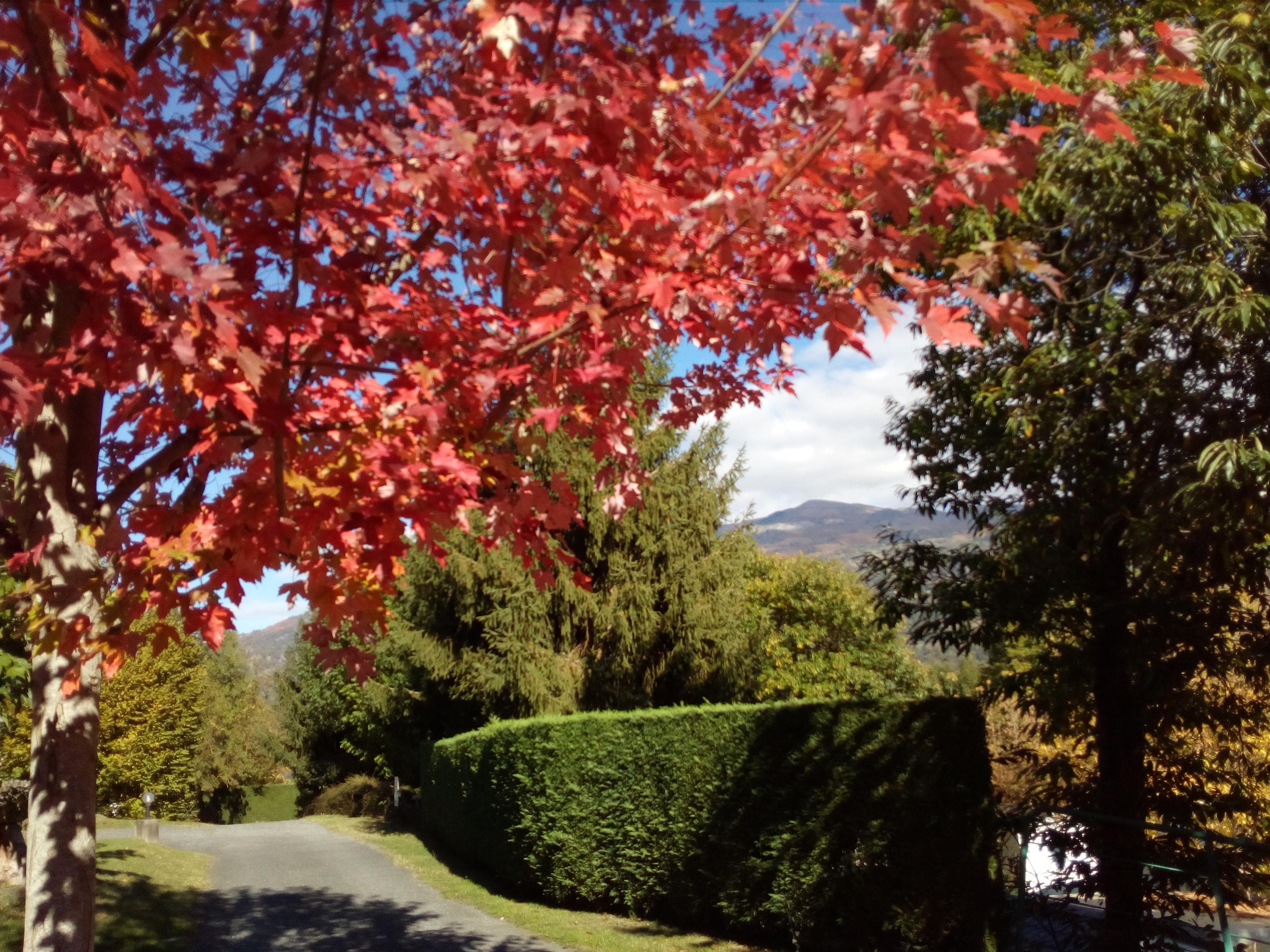 A scenery from Camping LARBEY