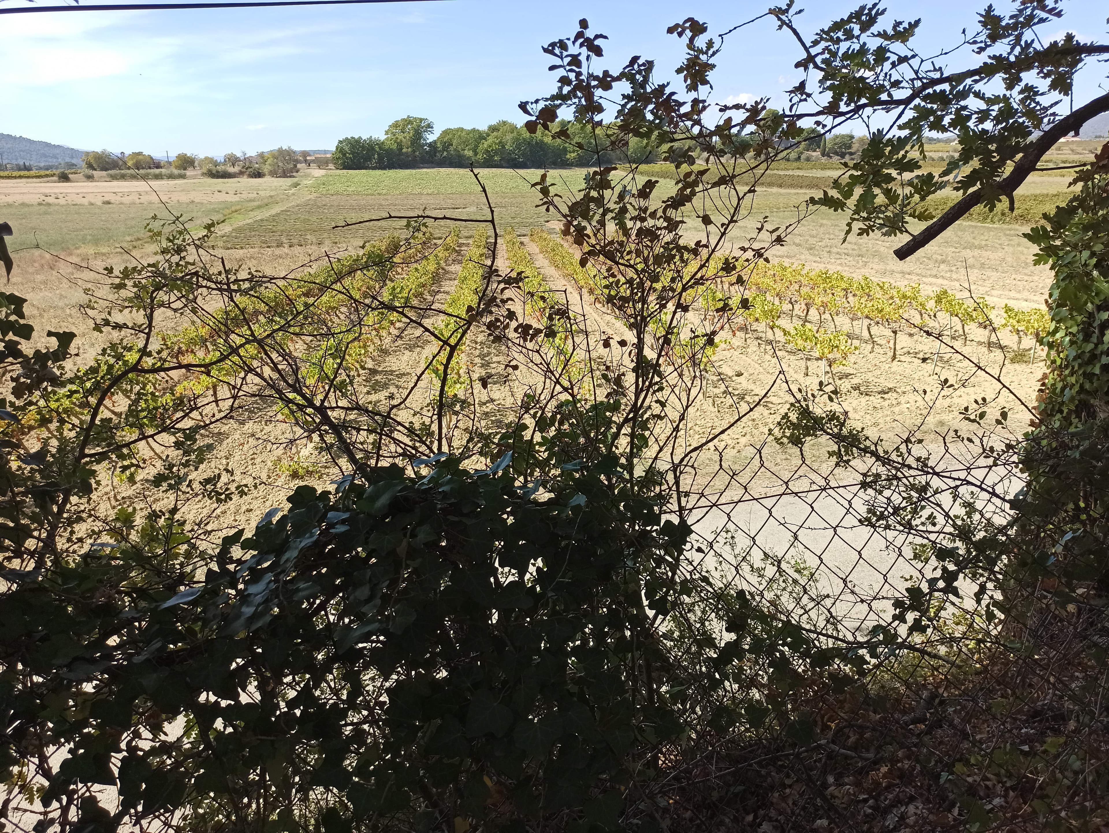 A scenery from Camping Le Moulin à Vent