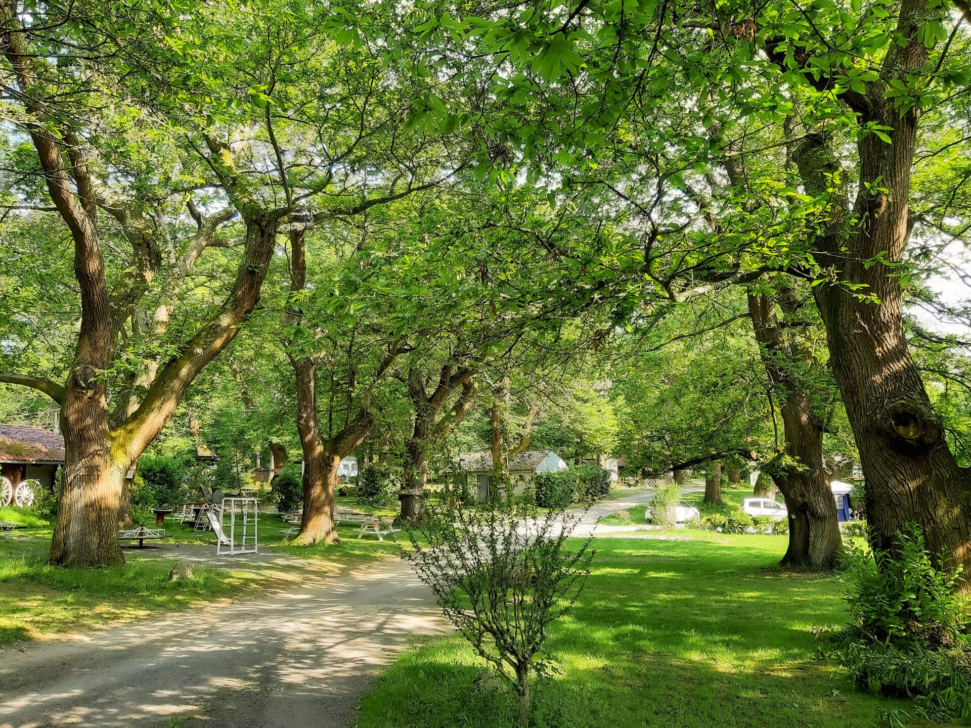 A scenery from Camping Le Rural