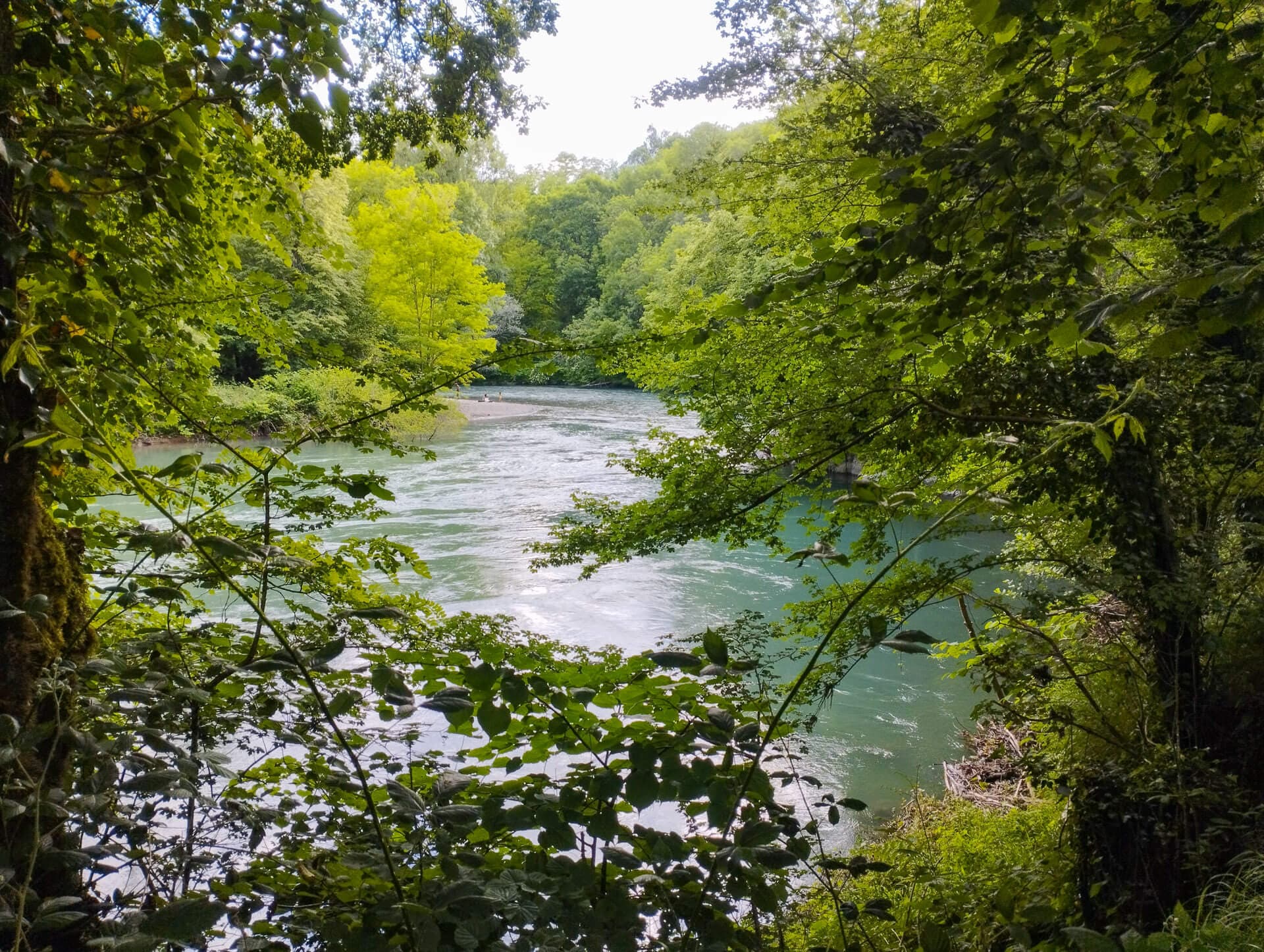A scenery from Camping Le Rural