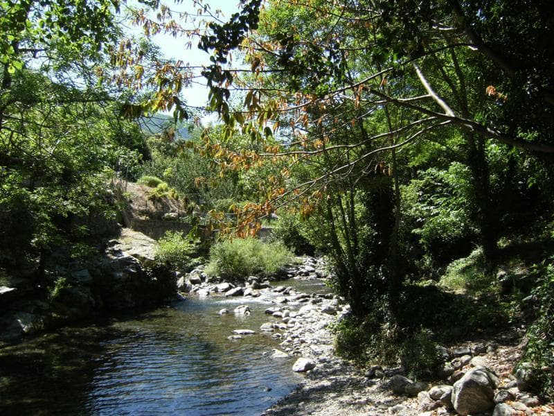 A scenery from Camping Le Mouretou