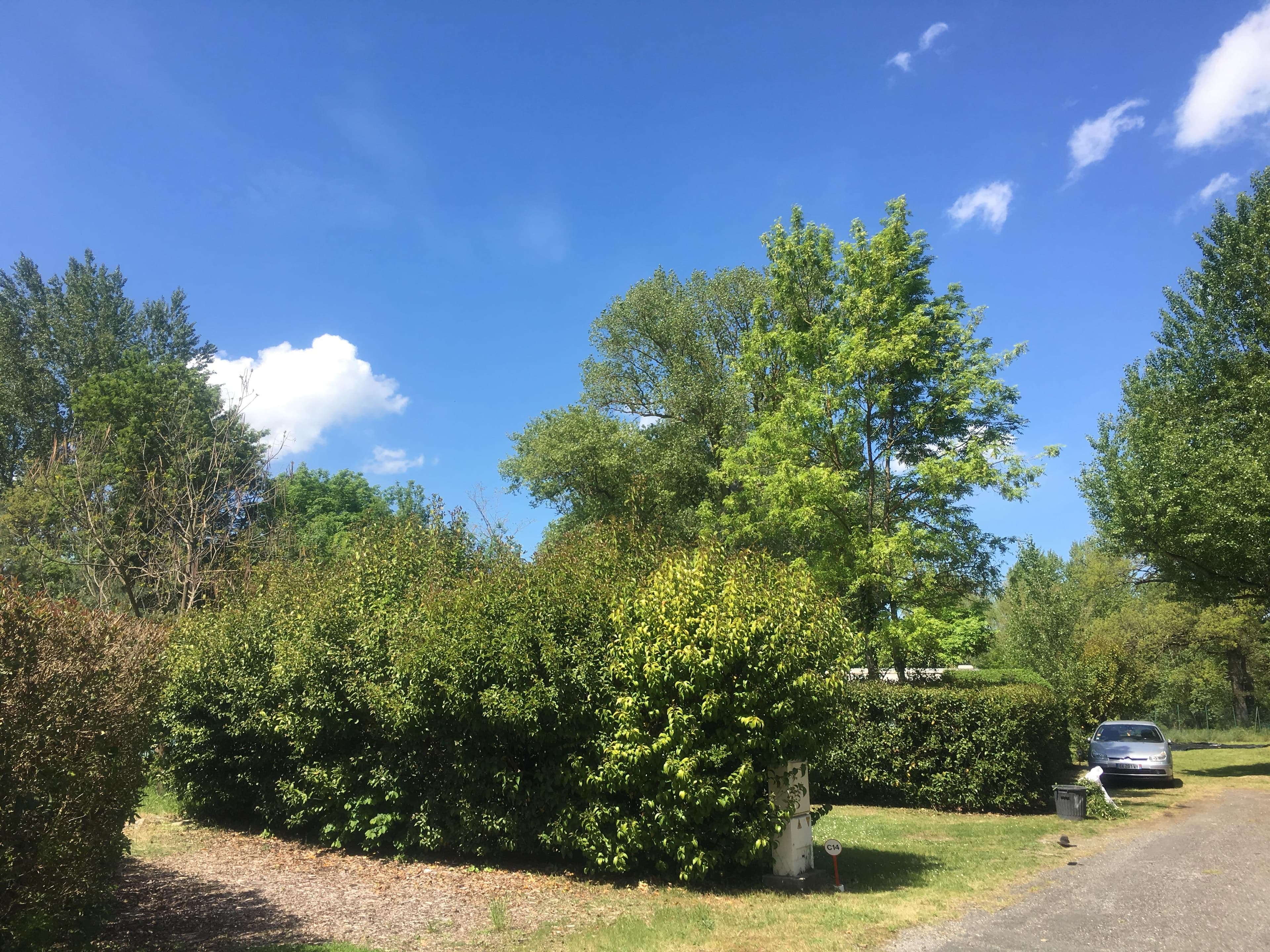A scenery from Camping Le PLANTAUREL