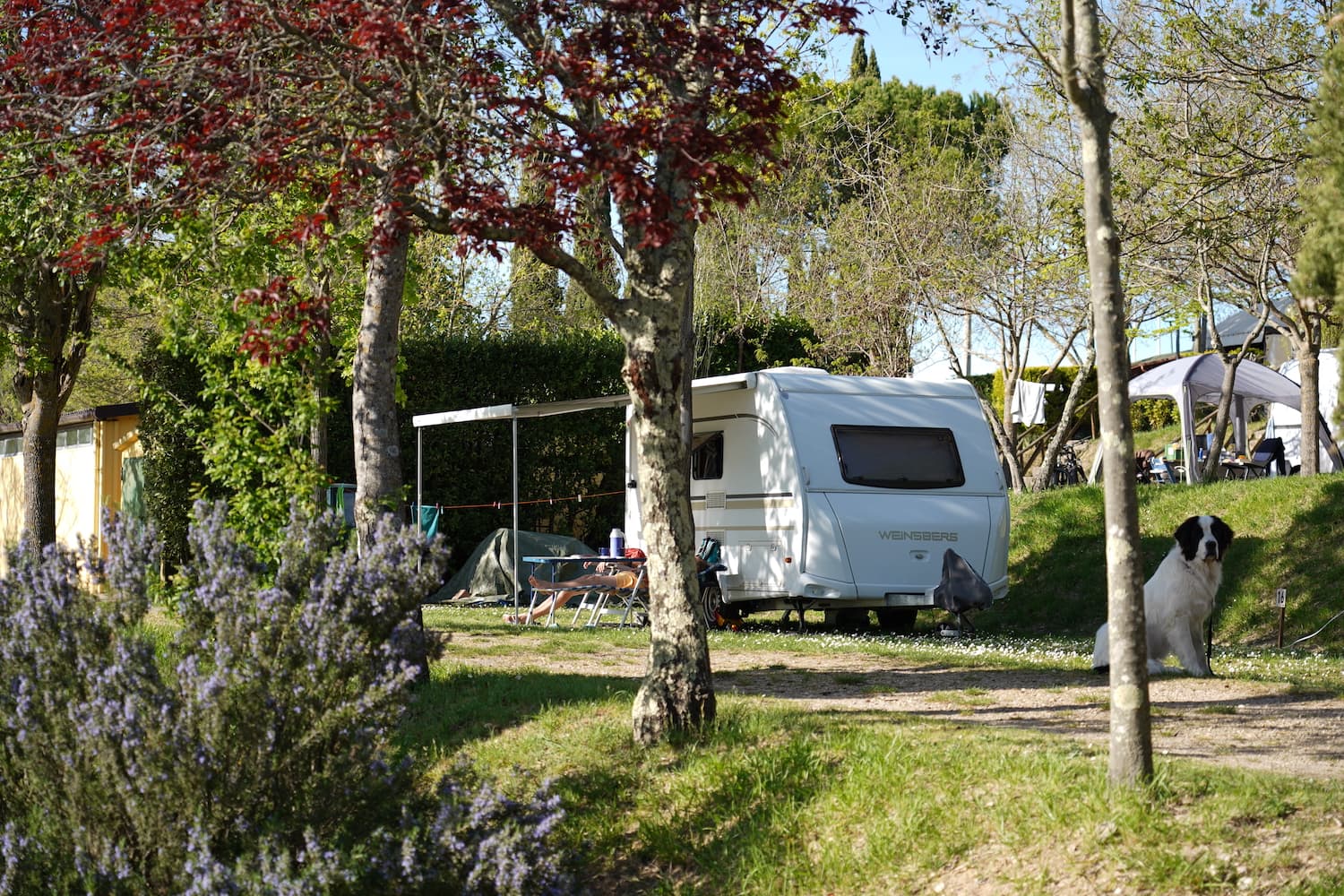 A scenery from Camping Panorama del Chianti