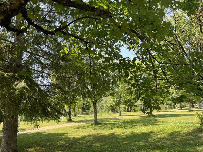 A scenery from Camping Le Bivouac