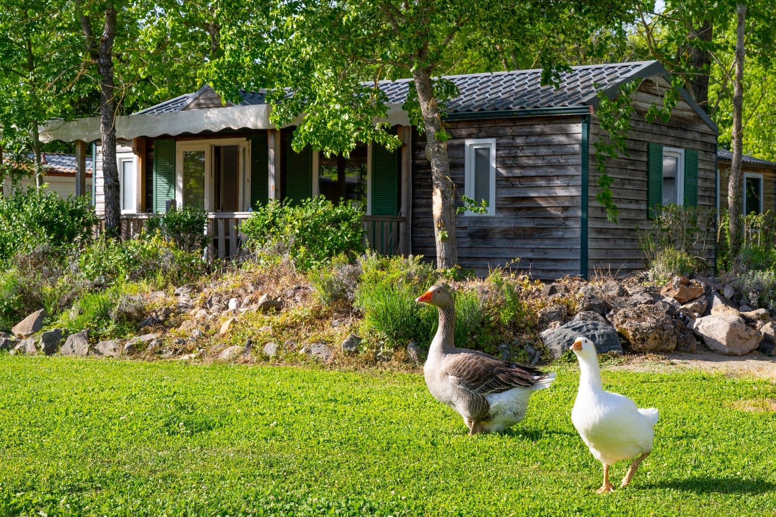 A scenery from Camping Le Plô Aveyron