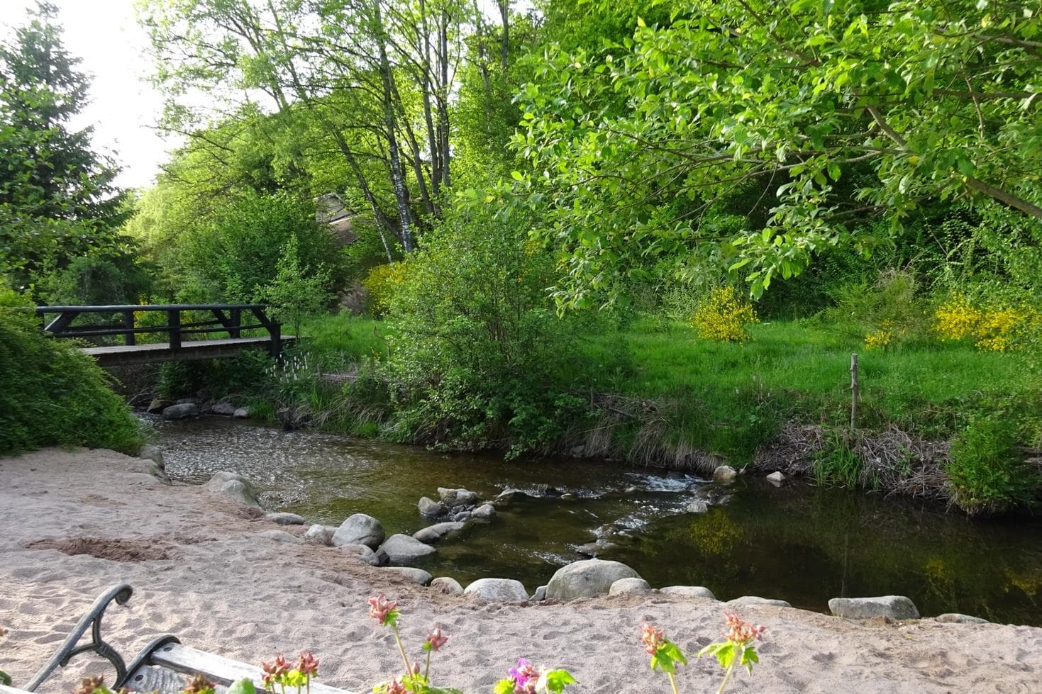 A scenery from Camping Au Mica