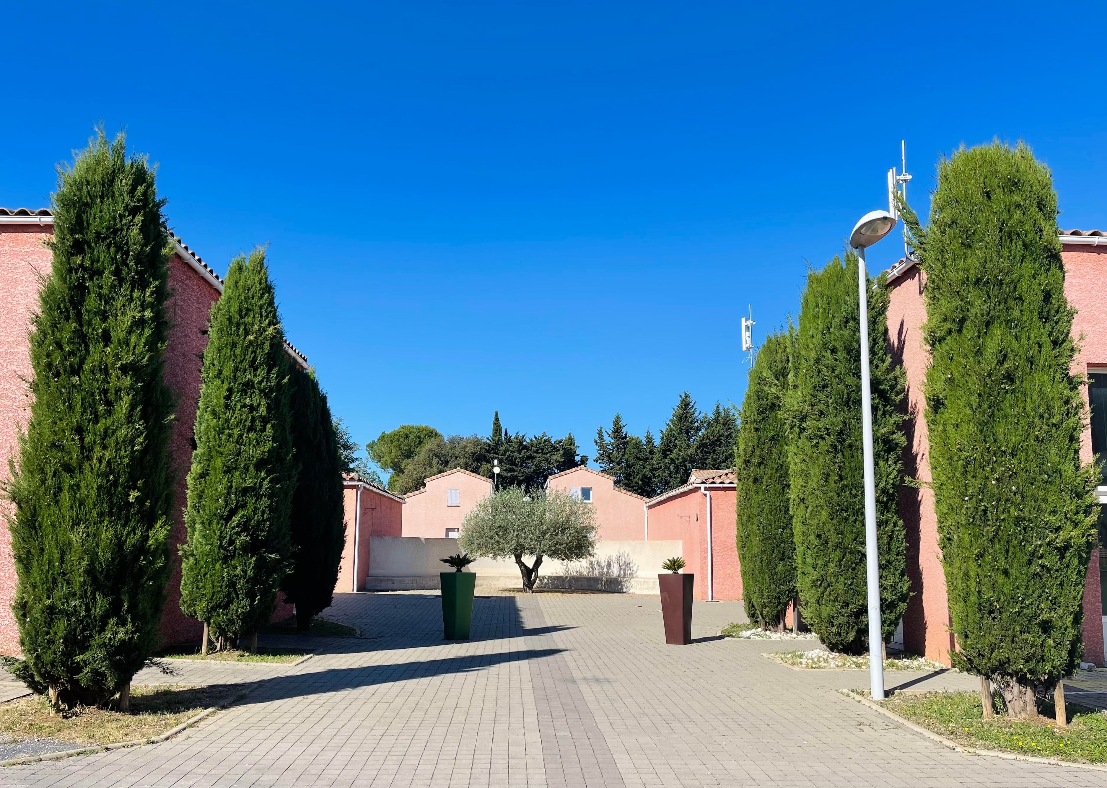 A scenery from Le Domaine de Bacchus - Terres de France