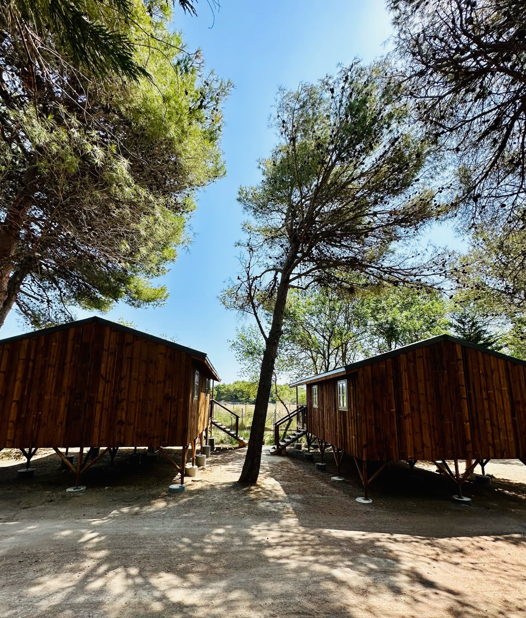 A scenery from Camping La Grange Neuve - Face à La Réserve Africaine de Sigean
