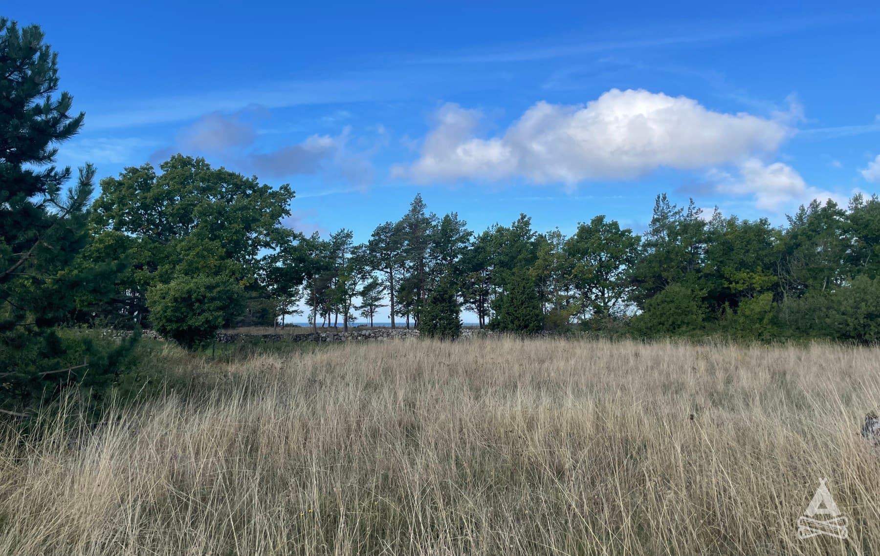A scenery from Byxelkroks Golfklubb