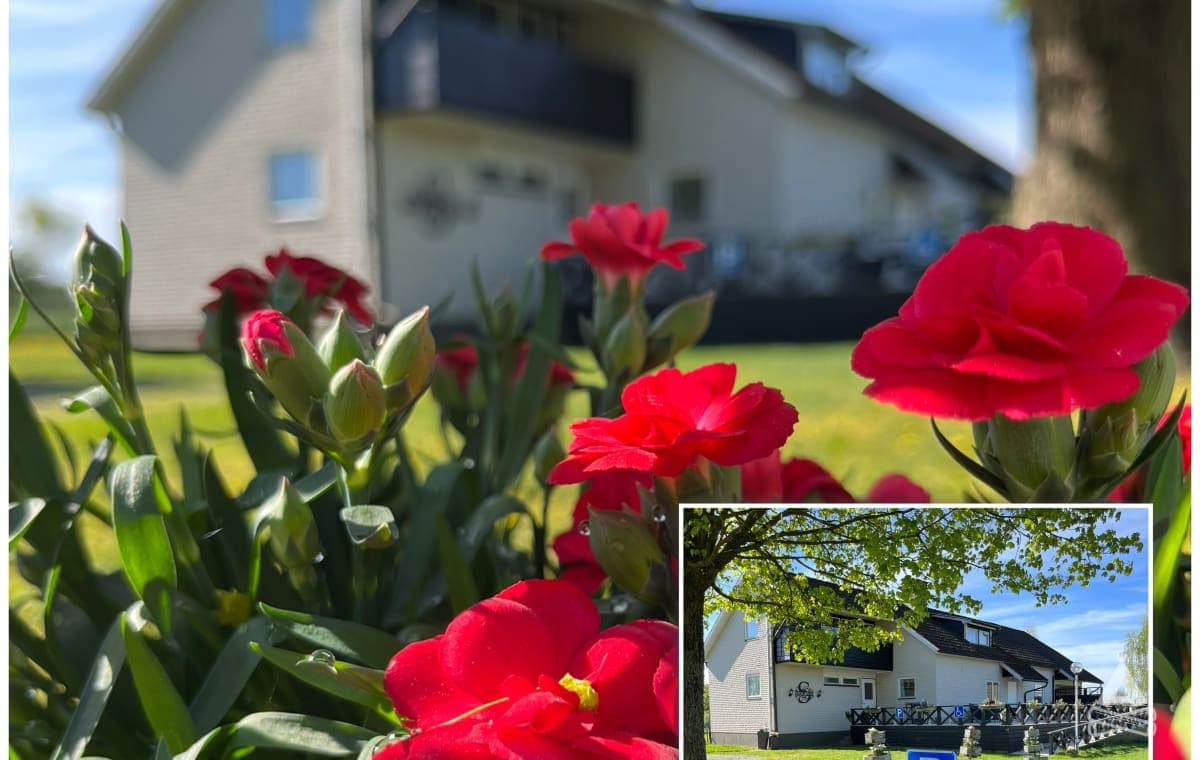 A scenery from Stegemans Horse hotel & Country Lodge