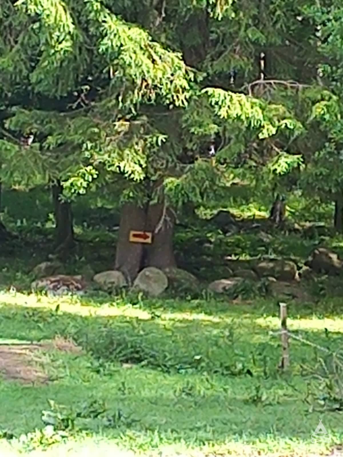 A scenery from Fredmans restaurang Skäralid