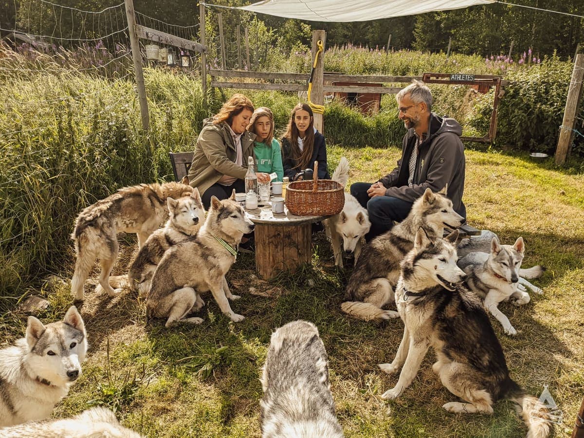 A scenery from Nordic Husky Farm