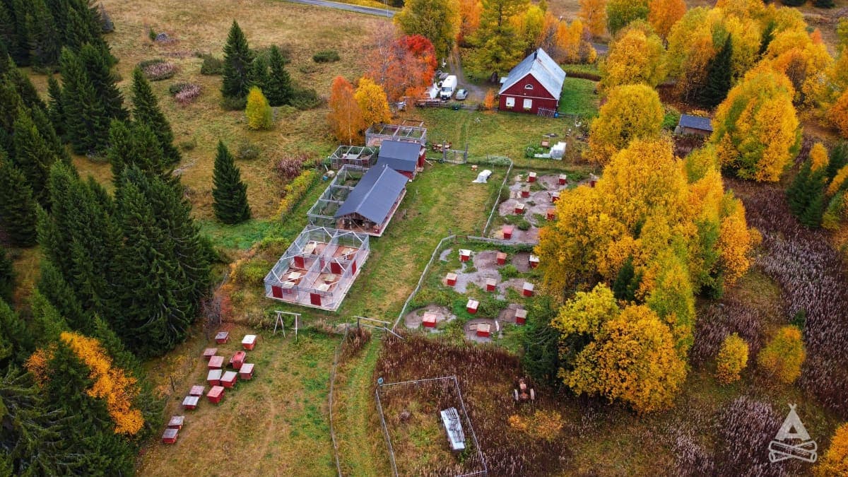 A scenery from Nordic Husky Farm