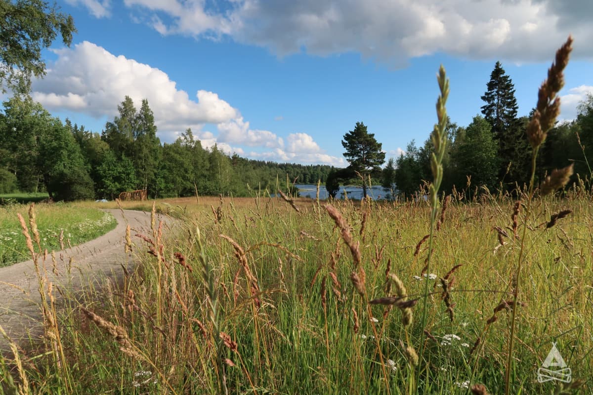 A scenery from Spångens camping