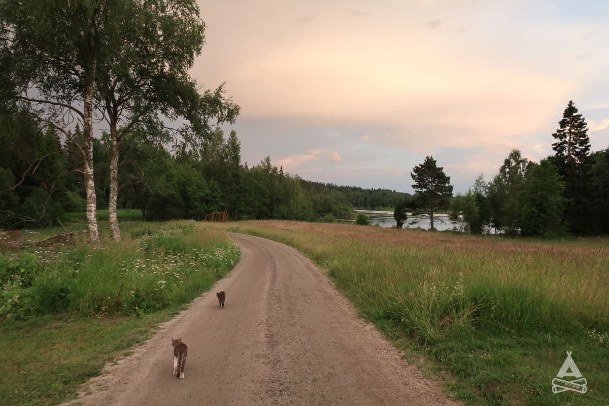 A scenery from Spångens camping