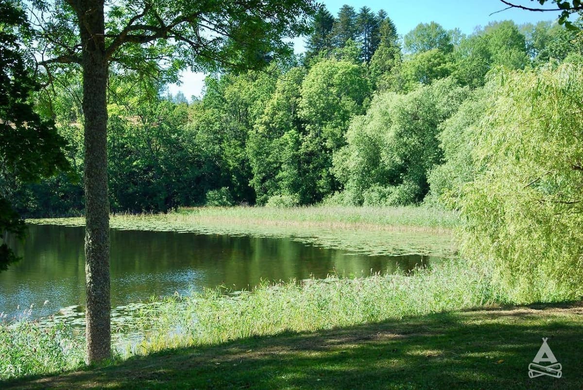 A scenery from Tegelviken Naturcamping