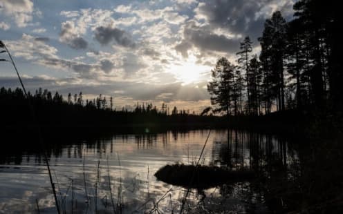 A scenery from Wild Jämtland