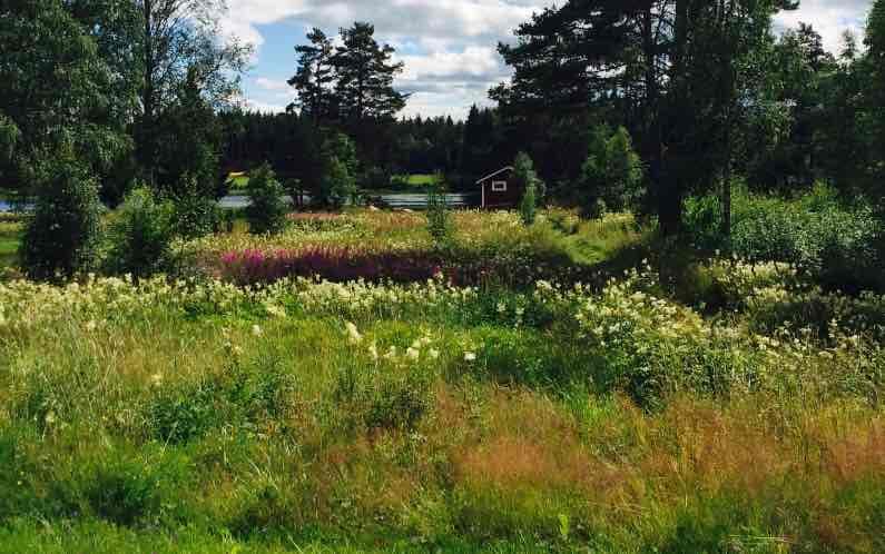 A scenery from Västerdalaonwest